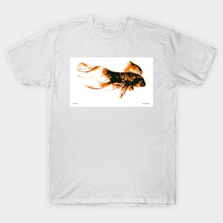 Veil - tailed Goldfish T-Shirt